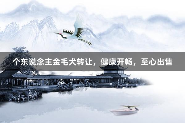 个东说念主金毛犬转让，健康开畅，至心出售
